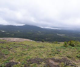 Savi Kanasu Sakaleshpura