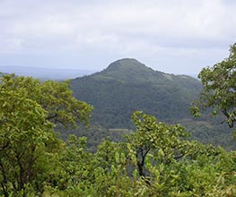 Savi Kanasu Sakaleshpura