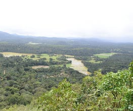 Savi Kanasu Sakaleshpura
