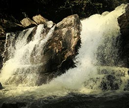 Savi Kanasu Sakaleshpura