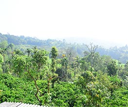 Savi Kanasu Sakaleshpura
