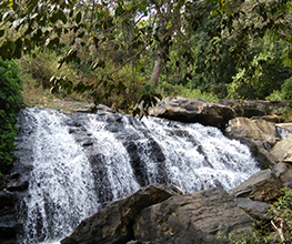 Savi Kanasu Sakaleshpura