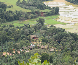 Savi Kanasu Sakaleshpura